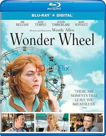 Wonder Wheel (2017) Hollywood Movie 1080p BluRay Hon3y x264 AAC 2GB