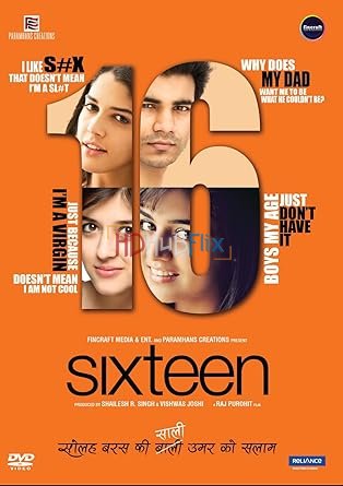 Sixteen (2013) Hindi 720p HEVC HDRip x265 AAC Full Bollywood Movie [700MB]